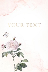 White rose element on white background illustration