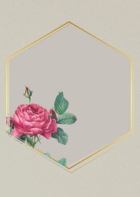 Hexagon frame with pink rose element illustration