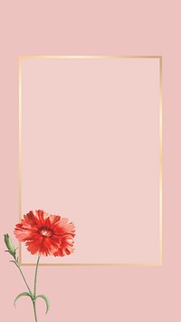 Orange carnation flower element on pink background vector