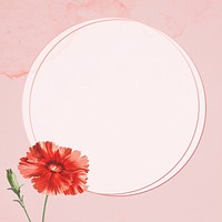 Orange carnation flower frame on pink background illustration