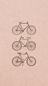 Vintage two wheel bicycle collection