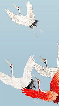 Flock of cranes background vector