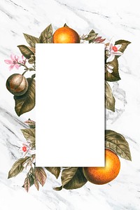 Blank tropical orange card vector