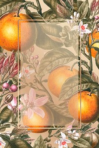 Blank tropical orange card vector