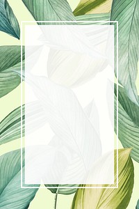 Blank rectangle tropical leaf frame template vector
