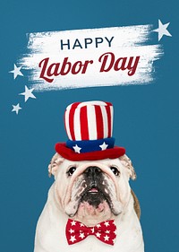 Happy labor day from a cute white English Bulldog puppy
