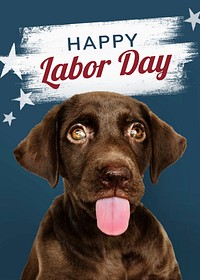 Happy labor day from a cute Labrador puppy