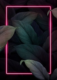 Rectangle pink neon frame on tropical leaves background vector
