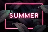 Rectangle pink neon frame on tropical leaves background vector