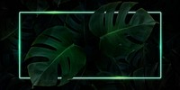 Rectangle green neon frame on tropical leaf background vector