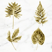 Gold colored leaves on white marble background collection illustration