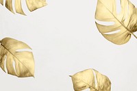 Gold split-leaf philodendron frame on white background vector