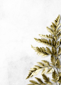 Gold leatherleaf fern frame on white background illustration