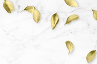 Gold eucalyptus leaves on white marble background vector