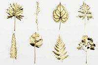 Gold colored leaves on gray background collection vector