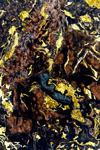 Black and gold marble textured background vector