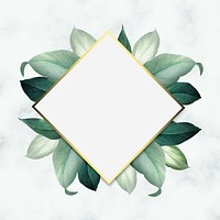 Rhombus foliage frame on white marble background vector
