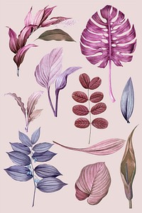 Purple leaves collection design vector