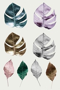 Metallic split leaf philodendron collection illustration