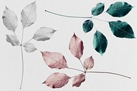 Branches of rose pink leaves with green and silver leaves pattern background illustration