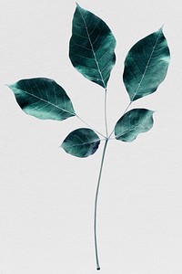 Branch of green leaves pattern background illustration