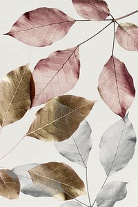 Silver leaves with gold and pink leaves pattern background