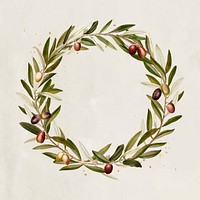 Olive wreath design element vector