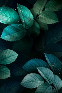 Green foliage pattern on dark background vector