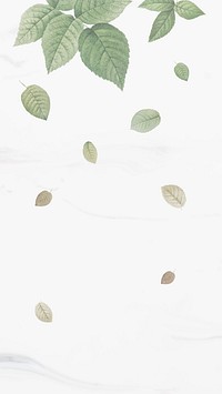 Green foliage pattern mobile phone wallpaper