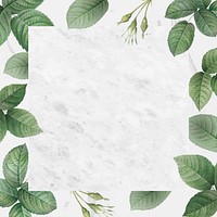 Green foliage pattern frame vector