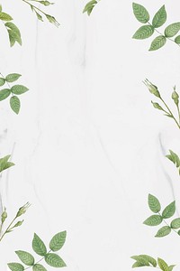 Green foliage pattern frame vector