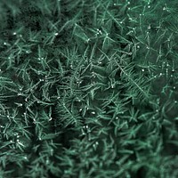 Sea-grass ice frost pattern background texture