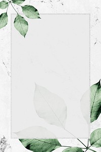 Rectangle silver frame with foliage on marble texture background illustration