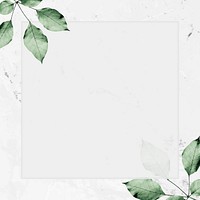 Square silver frame with foliage pattern on marble textured background