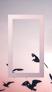 Seagulls flying in the sky mobile phone wallpaper