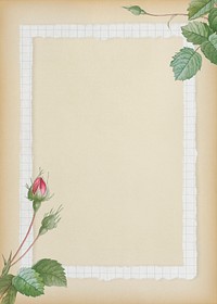 Double moss rose with grid white frame on beige background illustration