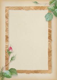 Double moss rose with crumpled brown paper frame on beige background illustration