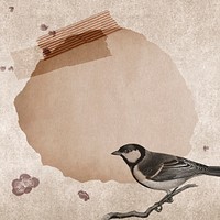 Talgoxe great tit on a grunge brown background vector