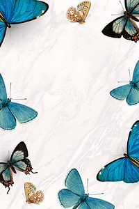 Blue butterflies patterned on white background vector