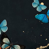 Blue butterflies patterned on black background vector