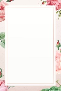 Pink rose pattern on white background vector