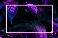 Neon tropical jungle foliage patterned frame