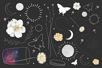 Floral and astronomical element collection design vector