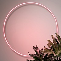 Pink neon frame on a wall with tropical plants mockup design