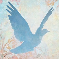 Blue dove silhouette painting background illustration