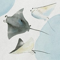 Watercolor painted manta ray in watercolor banner vector