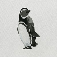 Watercolor painted penguin on white canvas template