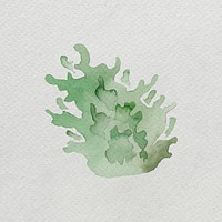 Watercolor painted seaweed on white canvas template