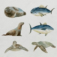 Sea mammals in watercolor set template