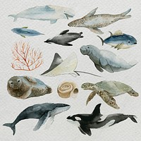 Animals from the sea in watercolor set template